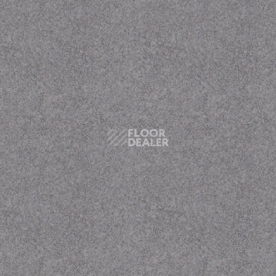 Линолеум Tarkett iq Megalit DARKGREY 0602 фото 1 | FLOORDEALER